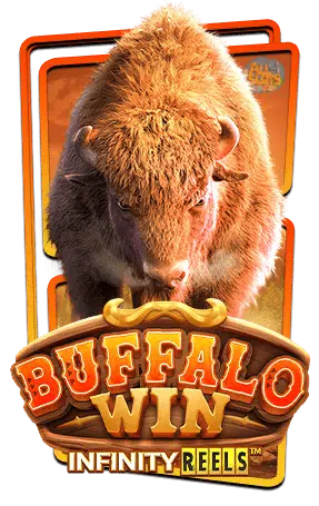 เกม Buffalo win